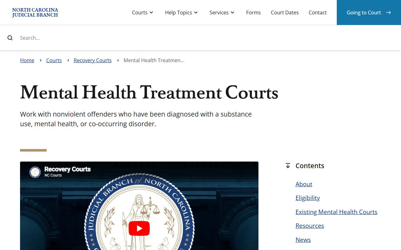New Hanover County inmate records mental health treatment court source