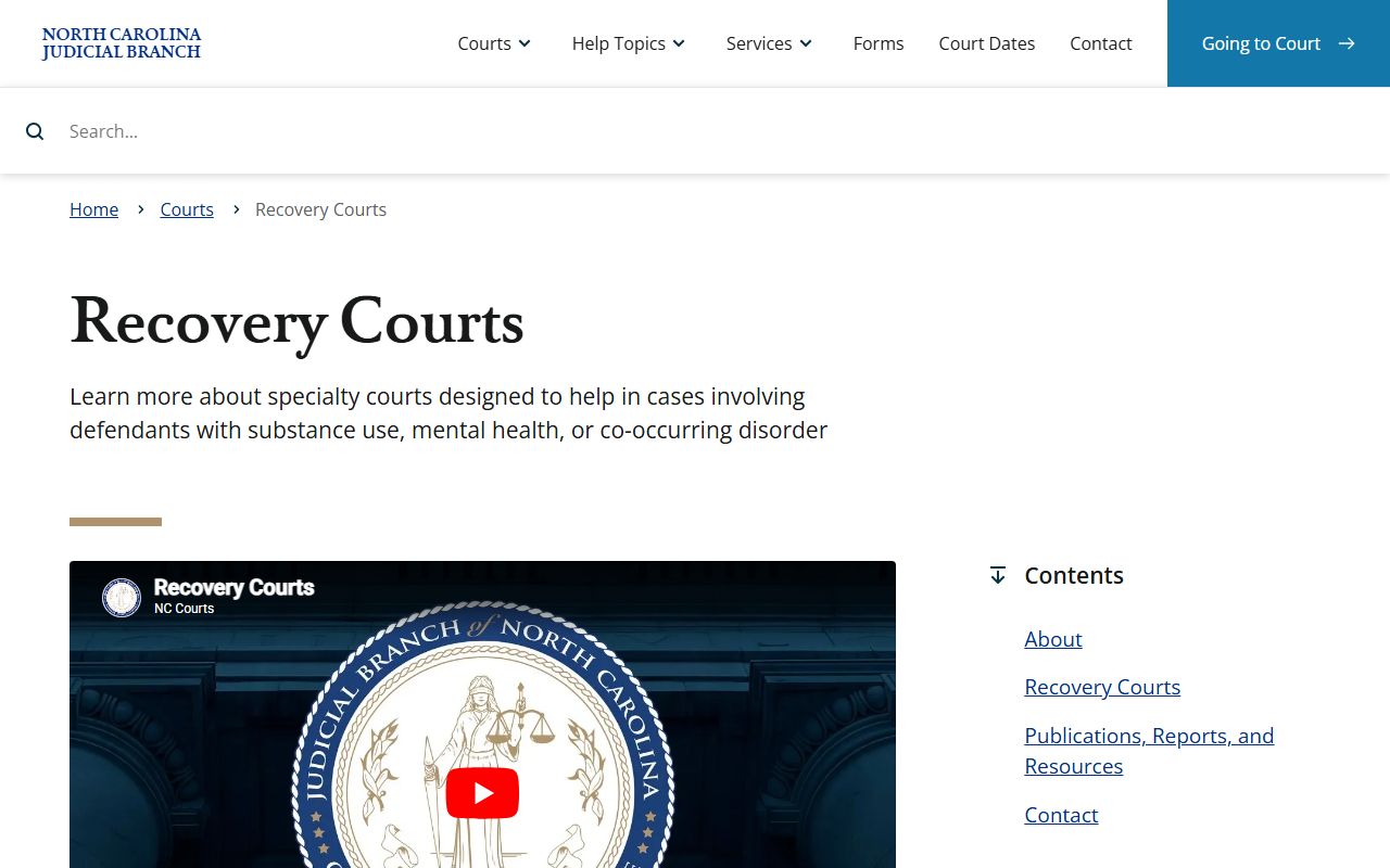 New Hanover County inmate records North Carolina recovery court source
